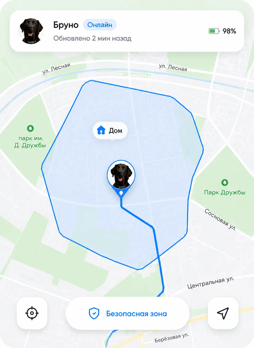 Карта местоположения питомца