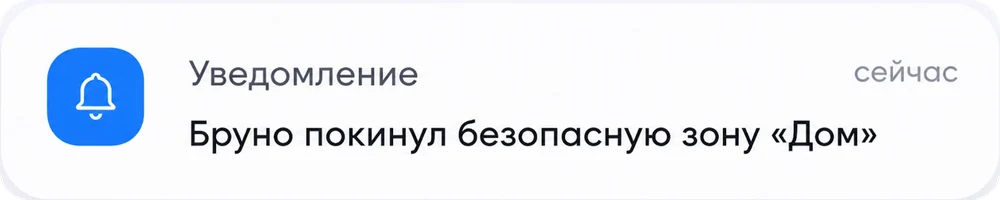 Уведомление: Бруно покинул безопасную зону «Дом»